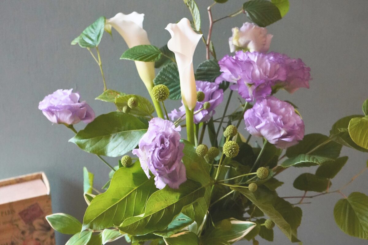 季節のお花の定期便「暦の会」をはじめました