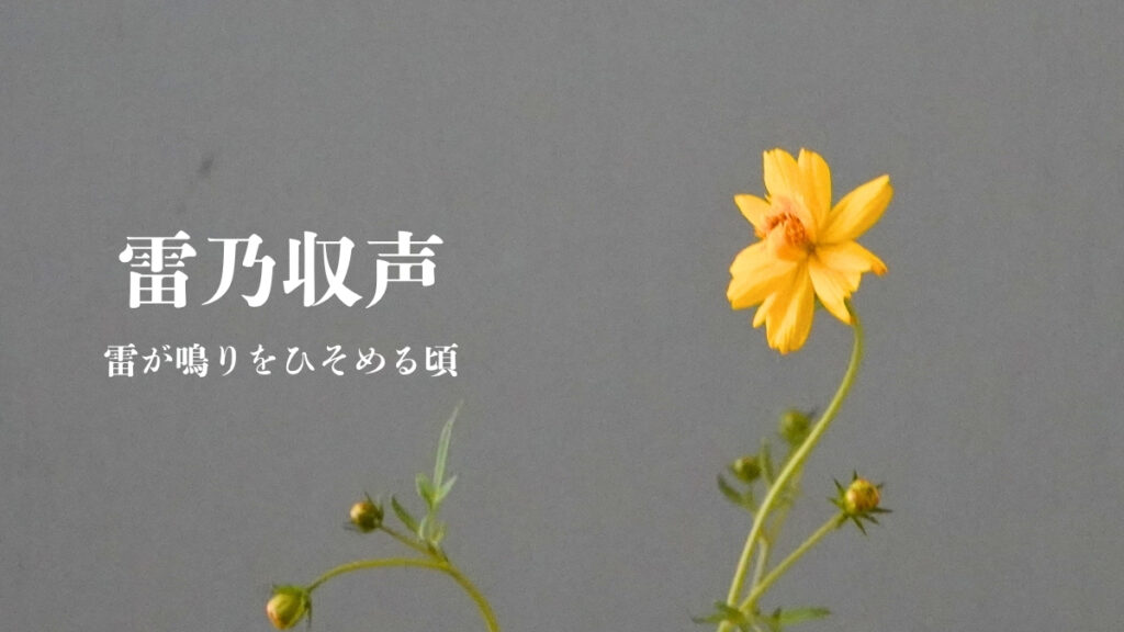 2026 09 21 雷乃収声 hp